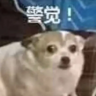 用户个人资料图片
